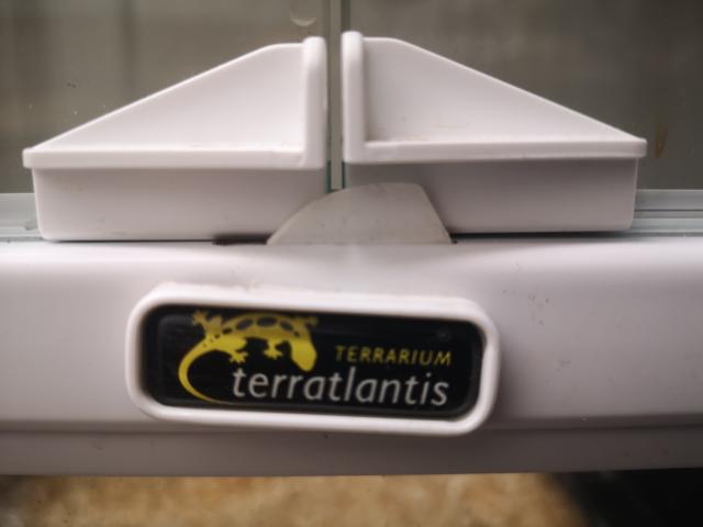 Loquet terrarium BLANC terratlantis (ENVOIE COLISSIMO UNIQUEMENT)