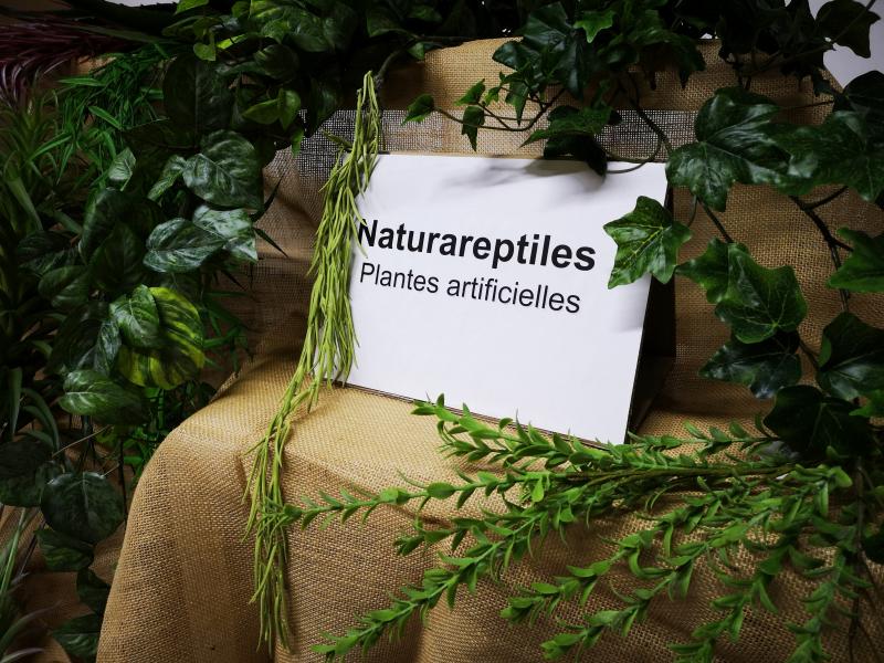 Les plantes artificielles 