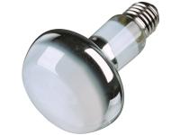 Lampe spot à chaleur 50 Watt (2)