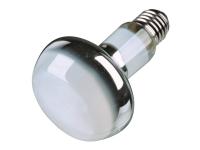 Lampe spot à chaleur 75 Watt (2)