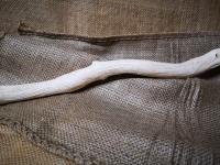 Liane blanche naturelle 110-120 cm (2)
