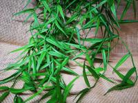 Plante artificielle Bambou 80 cm (2)