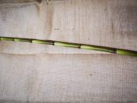 Bambou artificielle 98 cm (2)