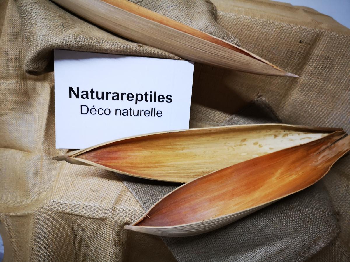 Naturareptiles - Produit