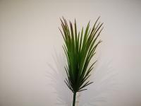 Plante grasse 25 cm (2)