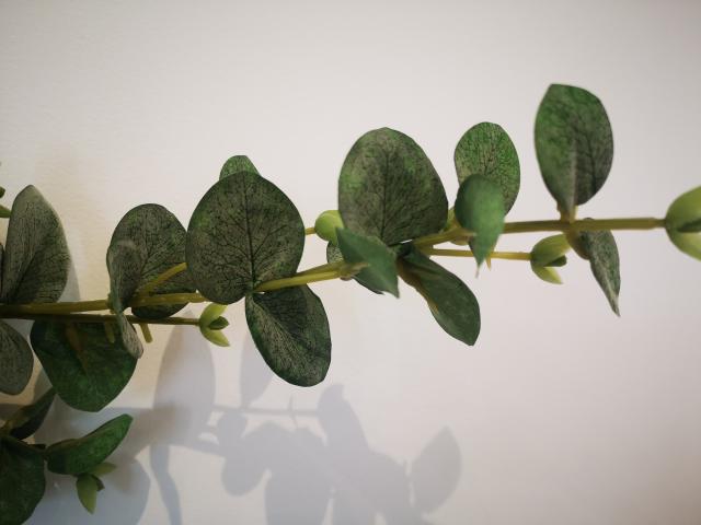 Feuillage eucalyptus 70 cm