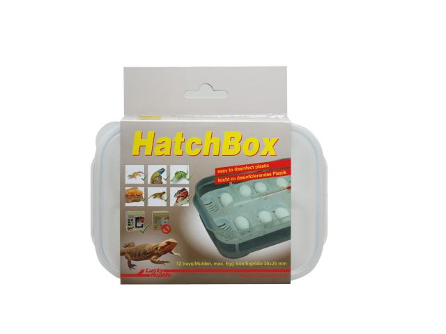 HatchBox 17x11