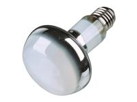 Lampe spot à chaleur 35 Watt (2)