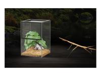 Terrarium KIT INSECTES 20x20x30H EN PRÉ-COMMANDE !