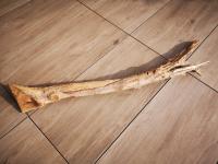 BRANCHE UNIQUE XL ! 110 CM