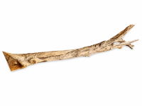 BRANCHE UNIQUE XL ! 110 CM