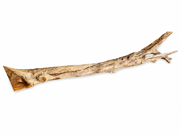 BRANCHE UNIQUE XL ! 110 CM