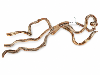Lianes tortueuses lot 3 X3 (100 cm) 