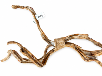 Lianes tortueuses lot 4 X3 (100 cm) (2)